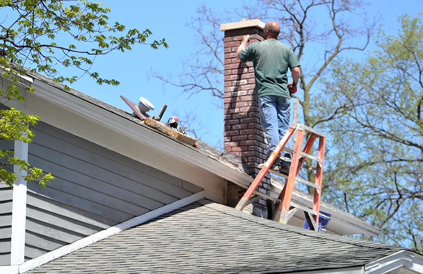 Chimney & Fireplace Inspections Services in Bryn Mawr-Skyway, WA